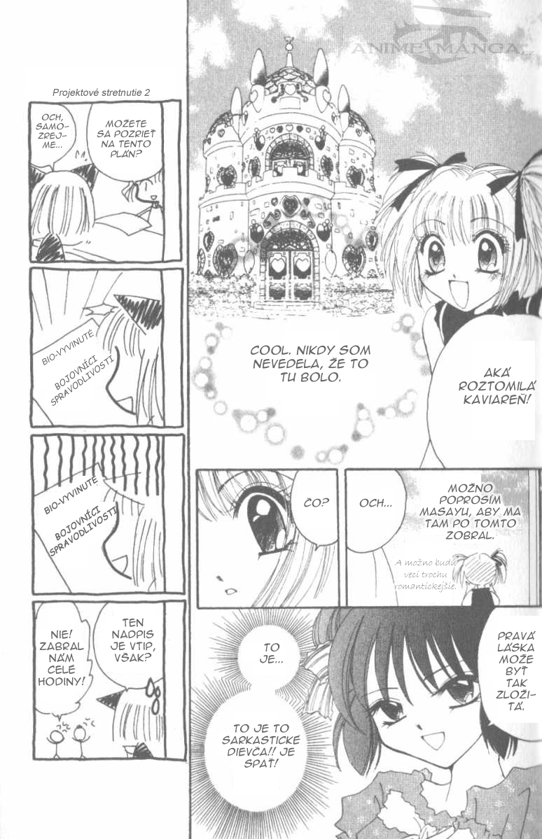 Tokyo Mew Mew 11.jpg